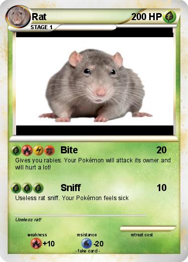 Pokemon Rat