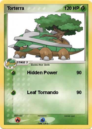 Pokemon Torterra