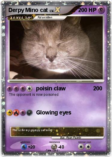 Pokemon Derpy Mino cat