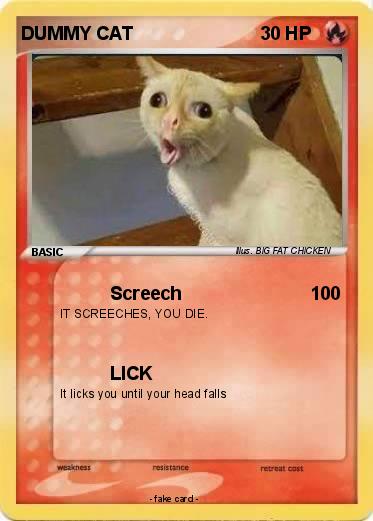 Pokemon DUMMY CAT