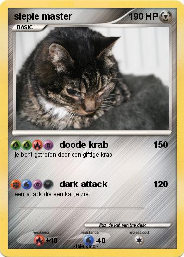 Pokemon siepie master