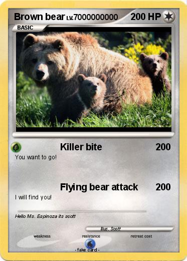 Pokemon Brown bear