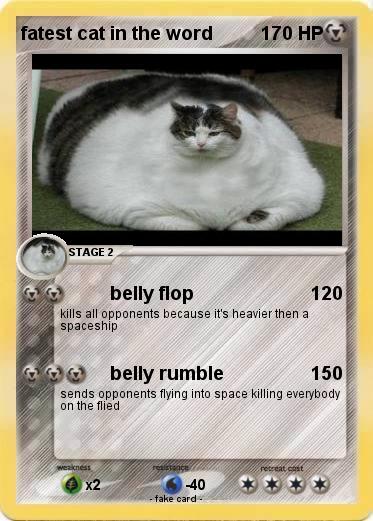Pokemon fatest cat in the word
