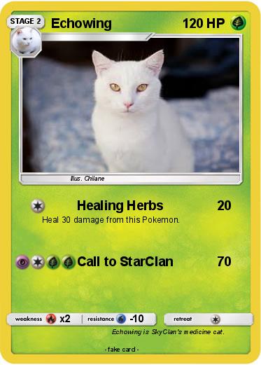 Pokemon Echowing