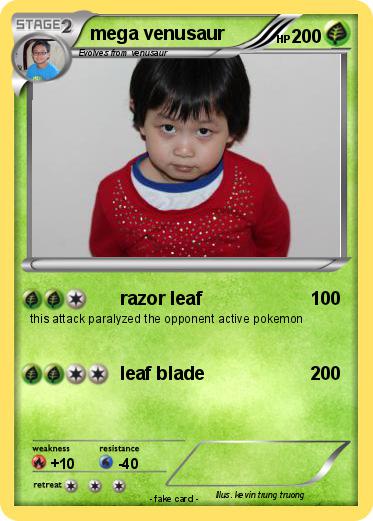 Pokemon mega venusaur