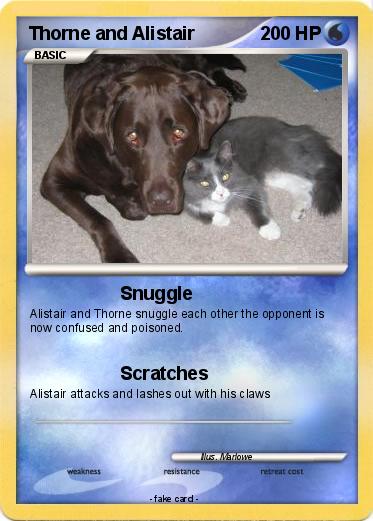 Pokemon Thorne and Alistair