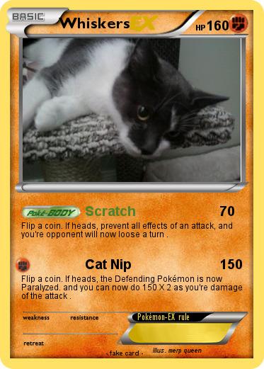 Pokemon Whiskers