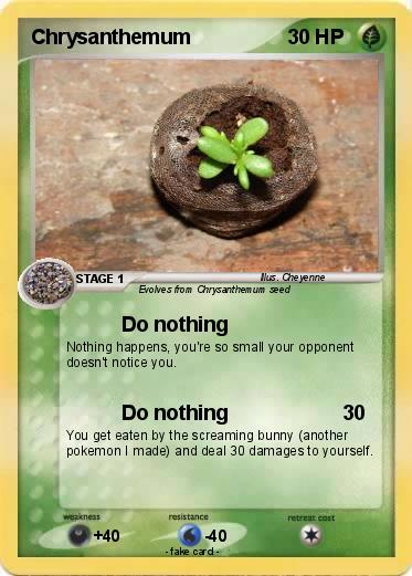 Pokemon Chrysanthemum