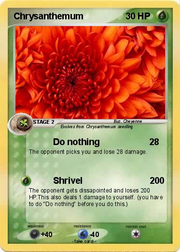 Pokemon Chrysanthemum