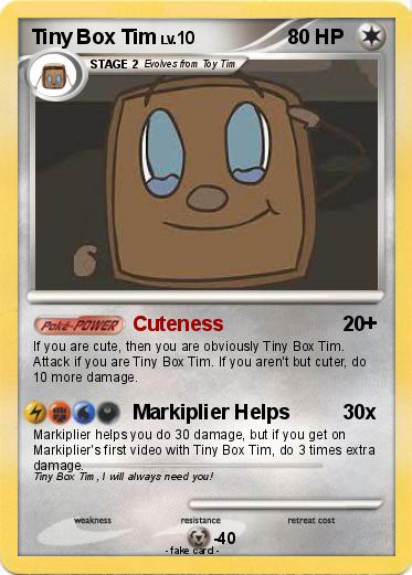 Pokemon Tiny Box Tim