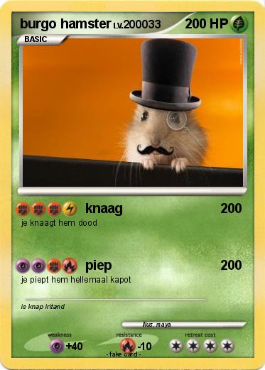 Pokemon burgo hamster