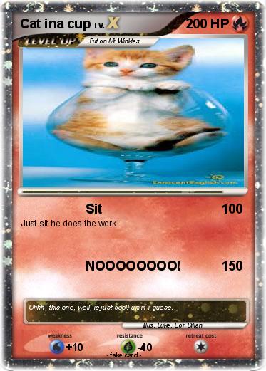 Pokemon Cat ina cup