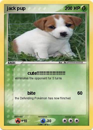 Pokemon jack pup