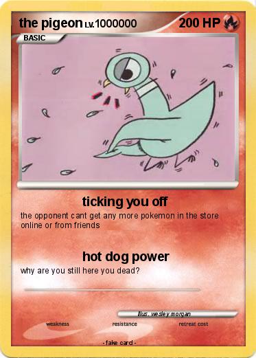 Pokemon the pigeon