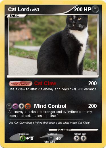 Pokemon Cat Lord