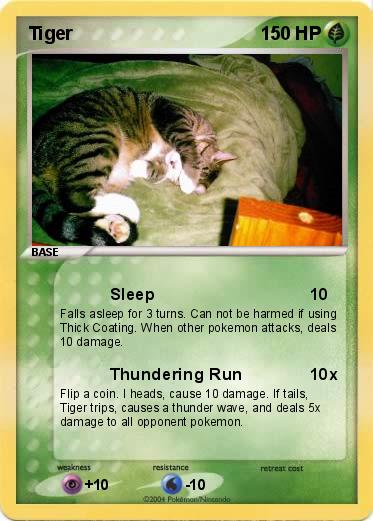 Pokemon Tiger