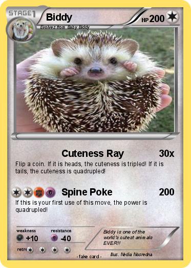 Pokemon Biddy