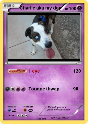 Pokemon Charlie aka my dog