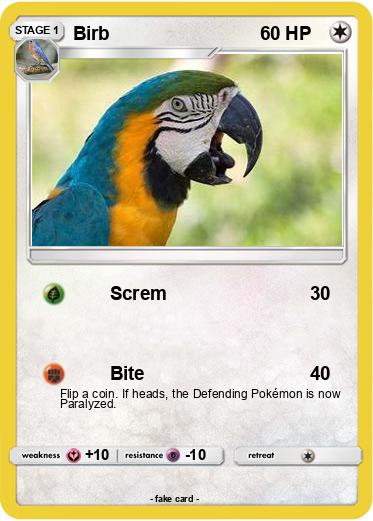 Pokemon Birb