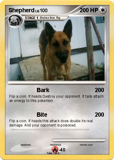 Pokemon Shepherd