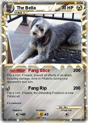 Pokemon The Bella