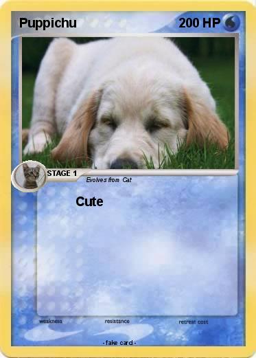 Pokemon Puppichu