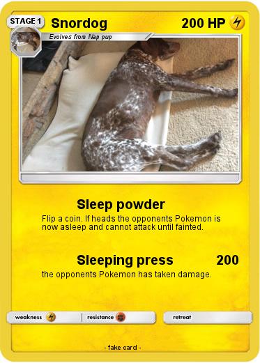 Pokemon Snordog