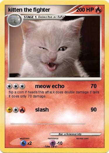 Pokemon kitten the fighter