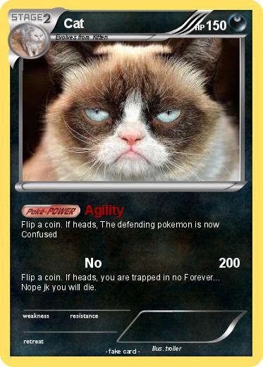 Pokemon Cat