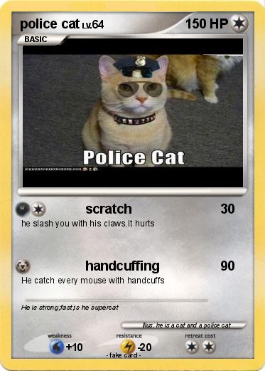 Pokemon police cat