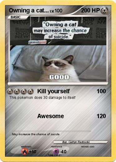 Pokemon Owning a cat...
