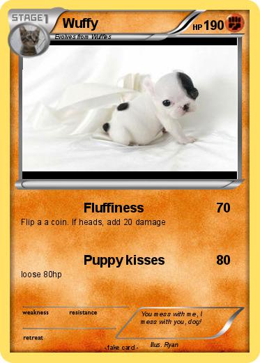 Pokemon Wuffy