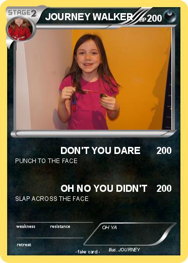 Pokemon JOURNEY WALKER