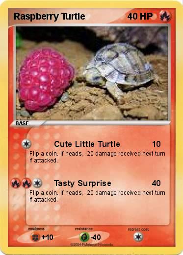 Pokemon Raspberry Turtle