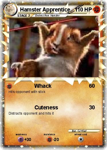 Pokemon Hamster Apprentice