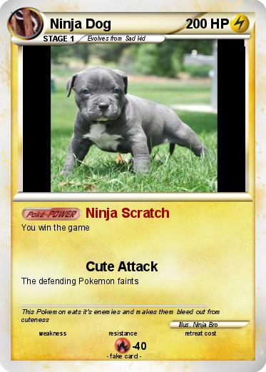 Pokemon Ninja Dog