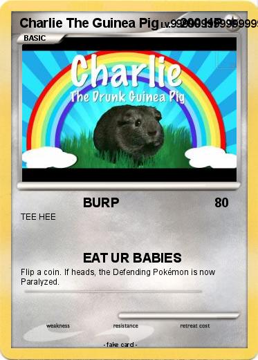 Pokemon Charlie The Guinea Pig