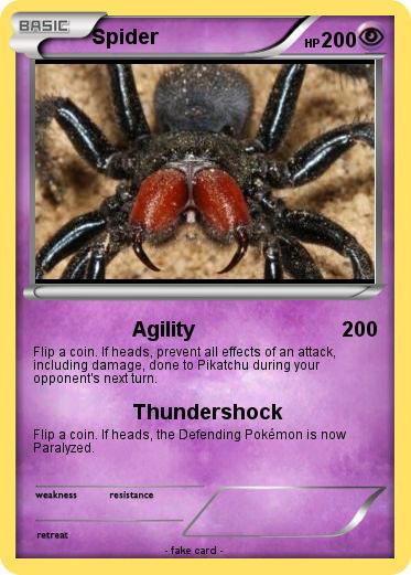 Pokemon Spider