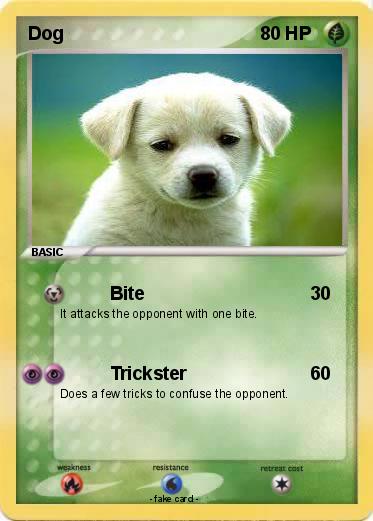 Pokemon Dog