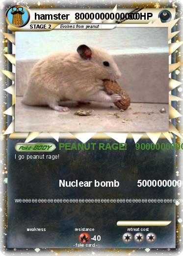 Pokemon hamster  8000000000000