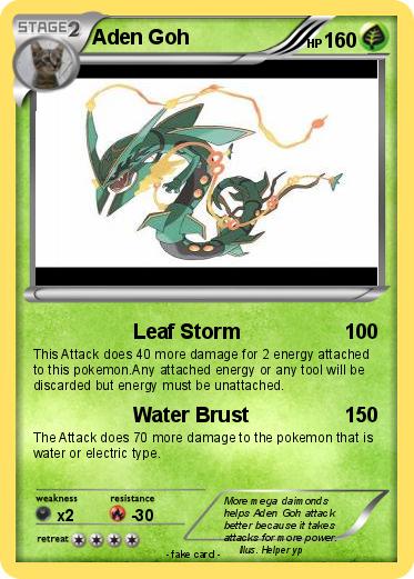 Pokemon Aden Goh