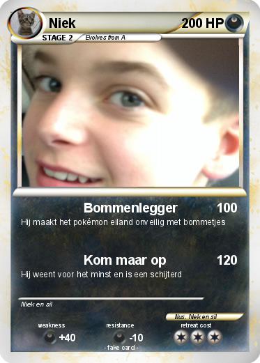 Pokemon Niek