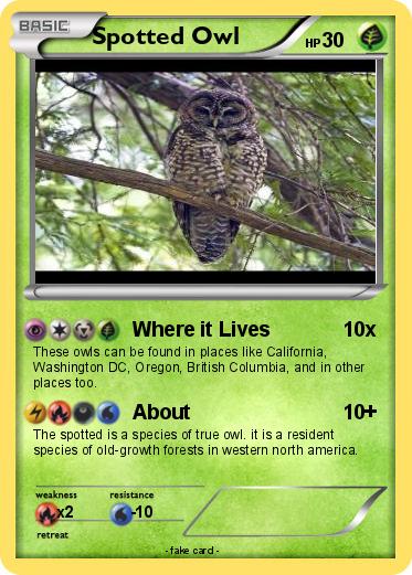 Pokemon Spotted Owl