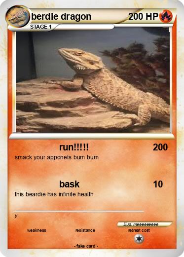 Pokemon berdie dragon