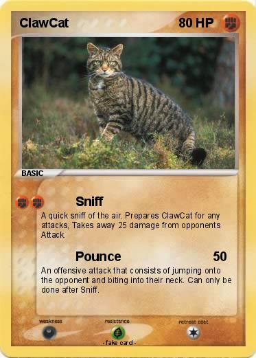 Pokemon ClawCat
