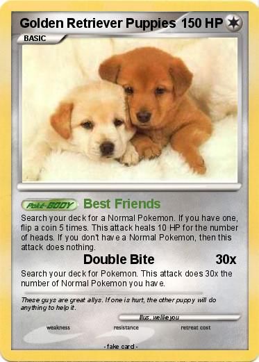 Pokemon Golden Retriever Puppies