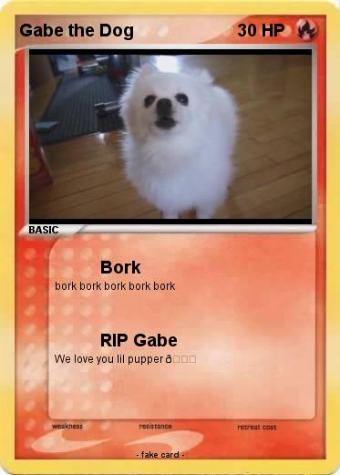Pokemon Gabe the Dog