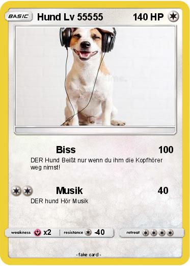 Pokemon Hund Lv 55555