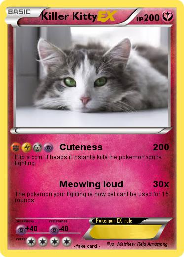 Pokemon Killer Kitty
