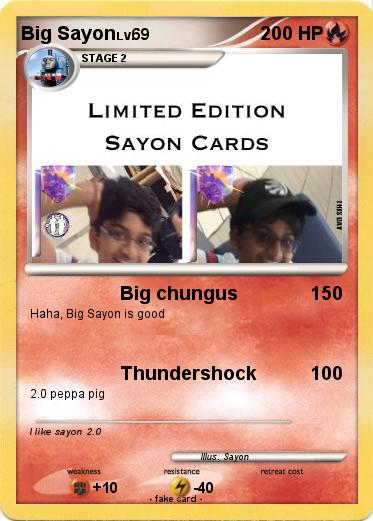 Pokemon Big Sayon